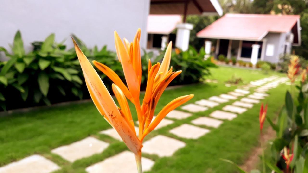 Arcadia Resort Alibaug Алибаг Экстерьер фото